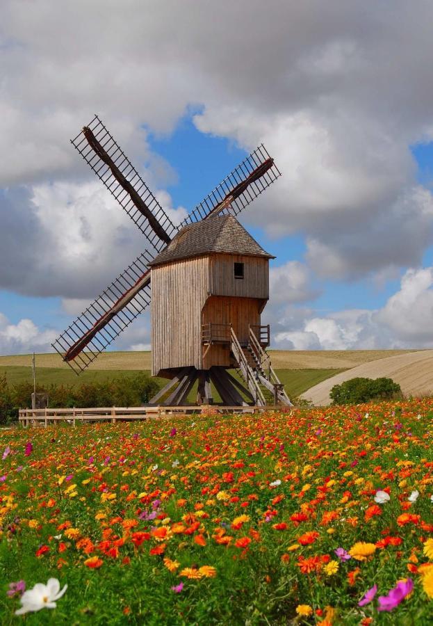 Chambre D'Hotes Des P'Tits Bonheurs Dosches Dış mekan fotoğraf