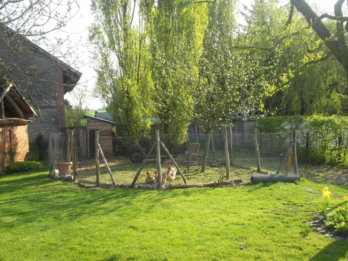 Chambre D'Hotes Des P'Tits Bonheurs Dosches Dış mekan fotoğraf
